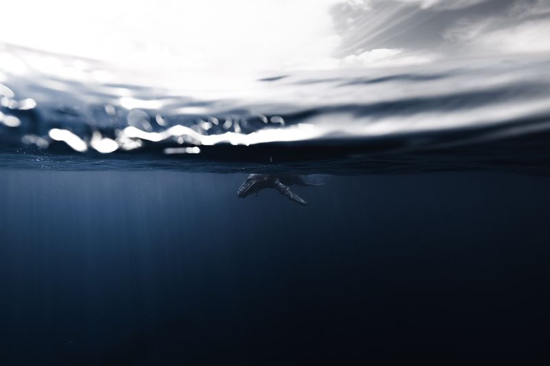 © Bjørn Jansen - Image from the Mooring photography project