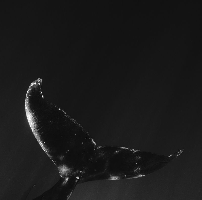 © Bjørn Jansen - Image from the Mooring photography project