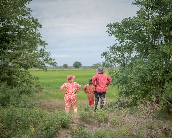 © Ponita Keo - Image from the Beauty and the Pigs photography project