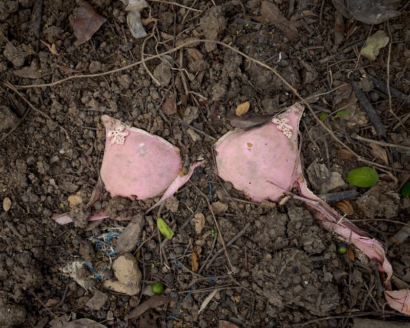 © Ponita Keo - Image from the Beauty and the Pigs photography project