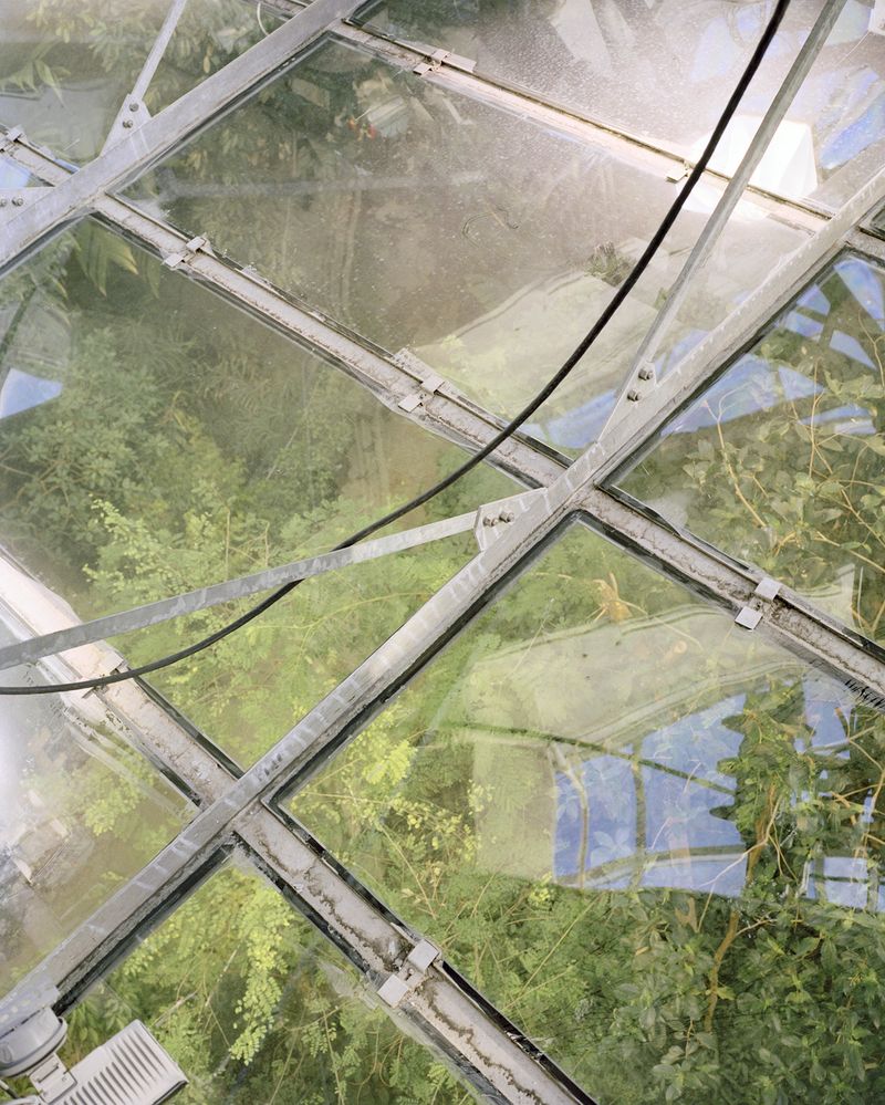 © Clara Lacasse - Planetary Garden, 32 x 25 in, C-print, 2021