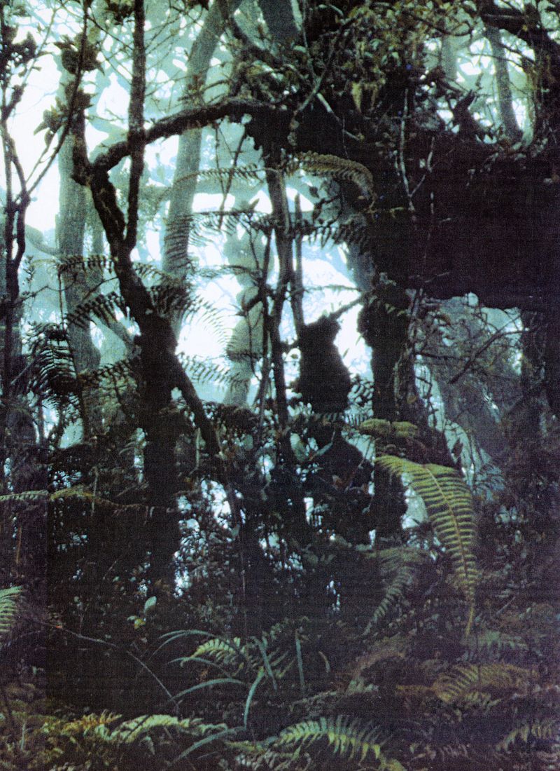 © Clara Lacasse - Cutoff, Montreal Biodome archives