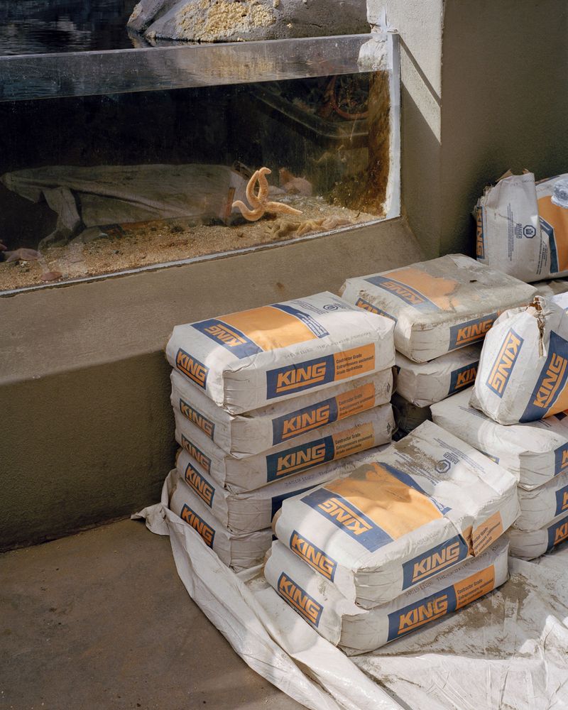 © Clara Lacasse - Deep Time, 32 x 40 in, C-print, 2021