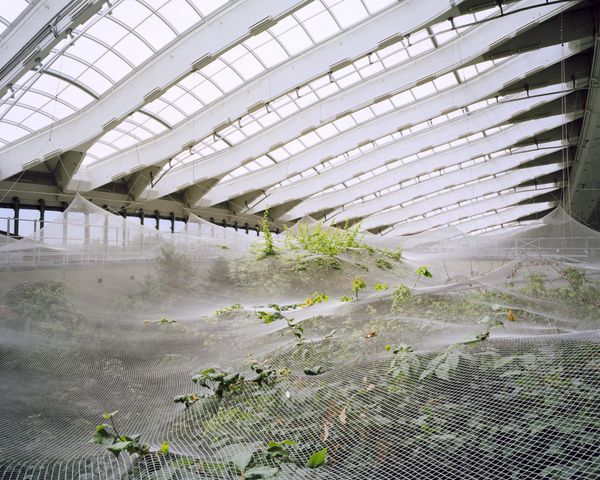 © Clara Lacasse - Two Vaults, 32 x 40 in, C-print, 2021