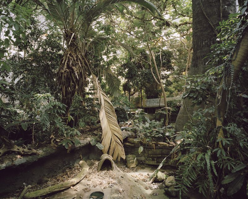© Clara Lacasse - Tropical, 32 x 40 in, C-print, 2021
