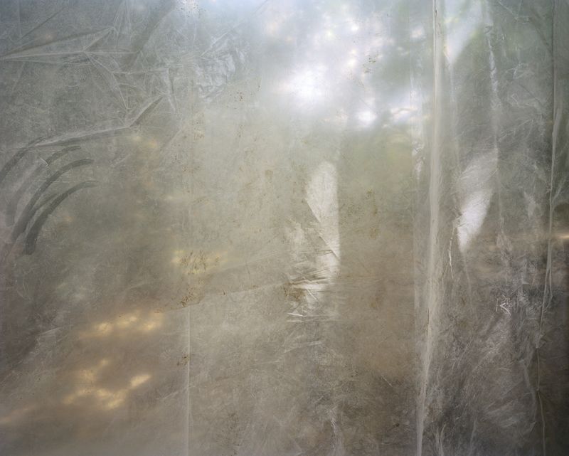 © Clara Lacasse - Dermis, 32 x 40 in, C-print, 2021