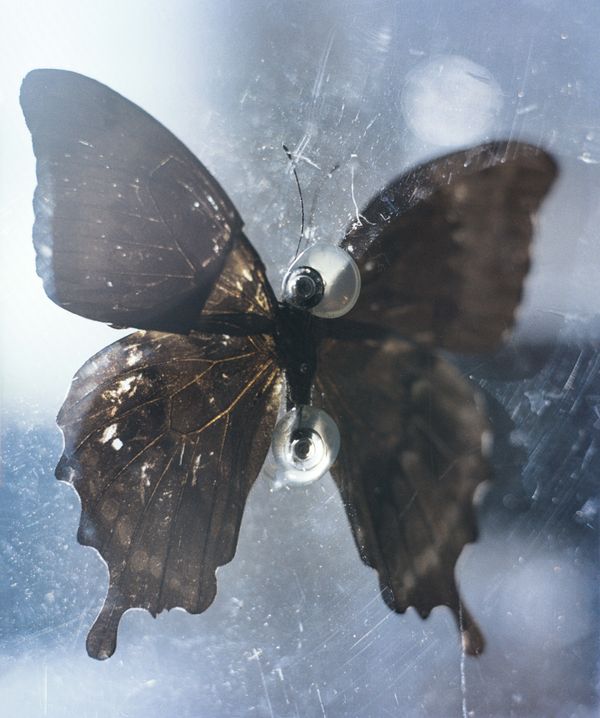 © Willian Zou - Crucifixion