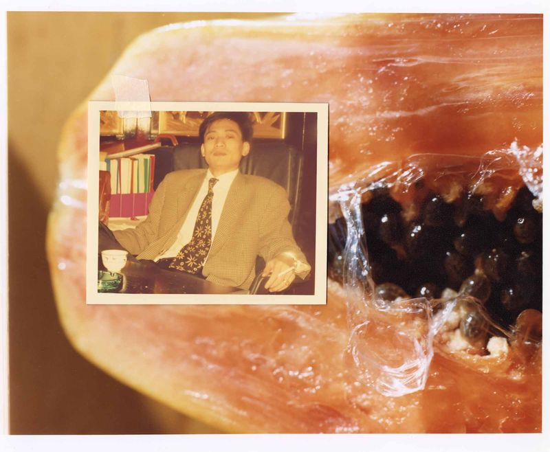 © Willian Zou - Papaya