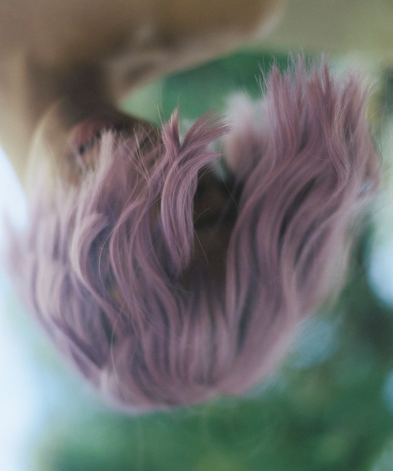 © Willian Zou - Narcissus