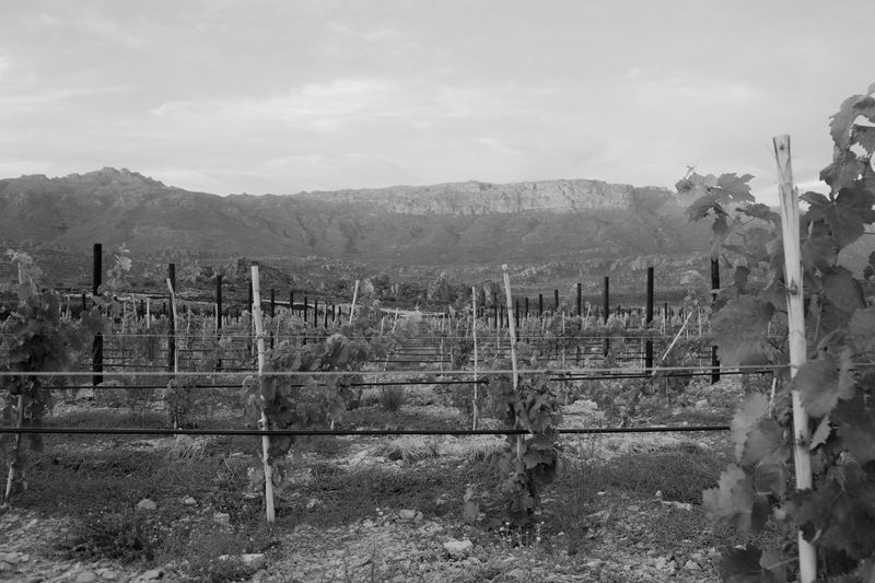 © Jacques Smit - Image from the Katarak photography project