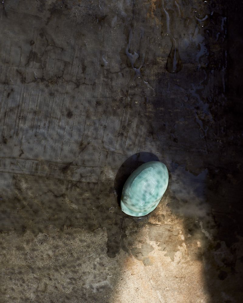 © Tati Vicedomine - Image from the You can even cry in the shower photography project