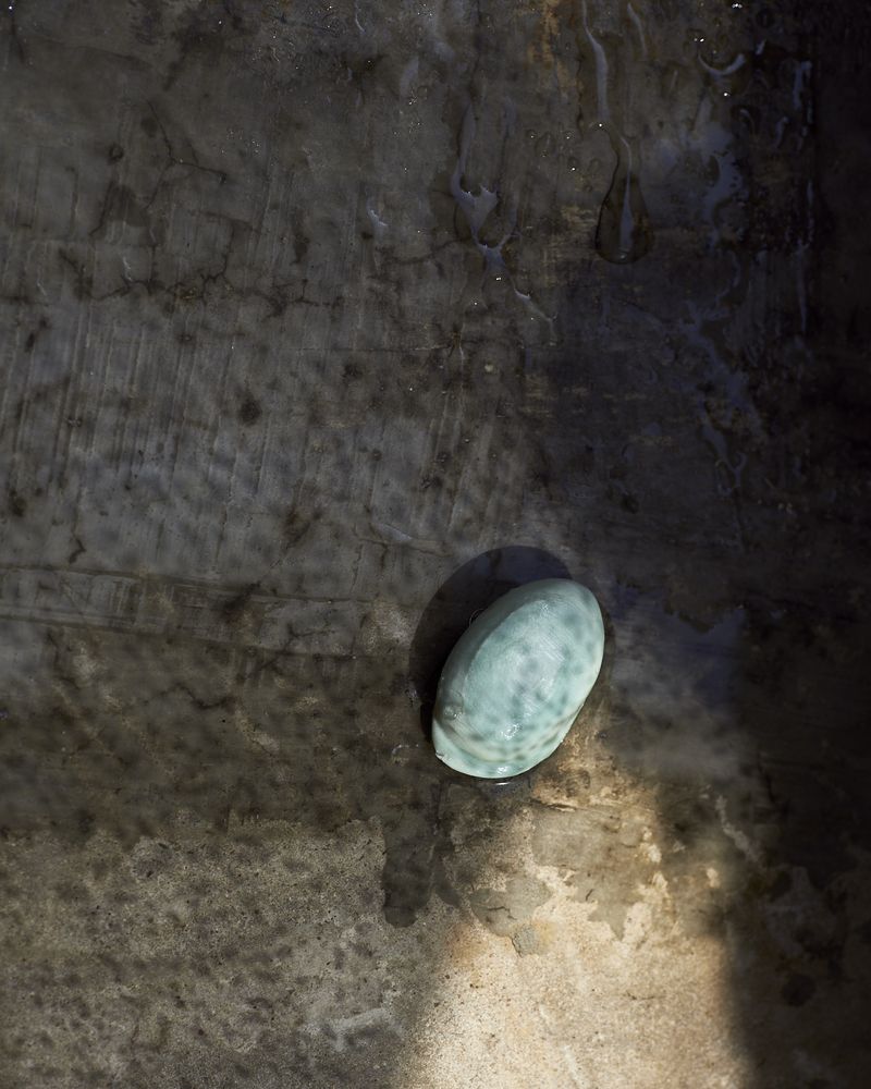 © Tati Vicedomine - Image from the You can even cry in the shower photography project