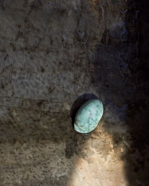 You can even cry in the shower