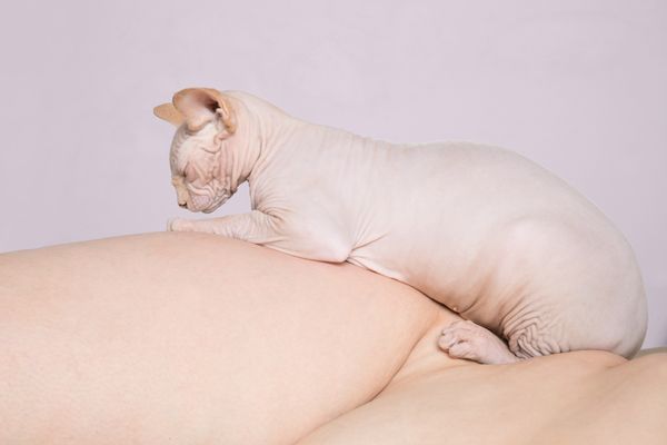© Stefania Mattioli - Image from the Obesa photography project
