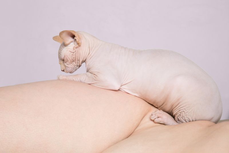 © Stefania Mattioli - Image from the Obesa photography project