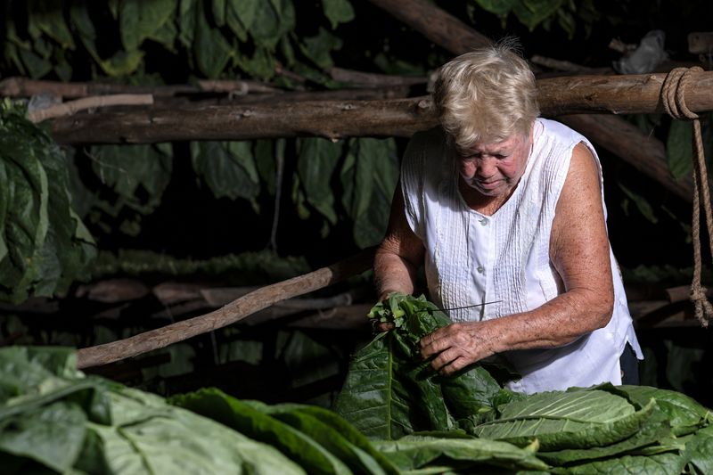 © Mehdi Maciej Benembarek - Image from the TOBACCO FARMS & GUAJIROS IN VINALES, CUBA photography project
