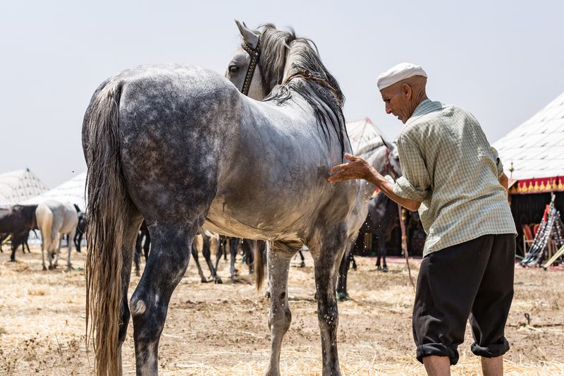 © Mehdi Maciej Benembarek - Image from the Tbourida in Morocco photography project