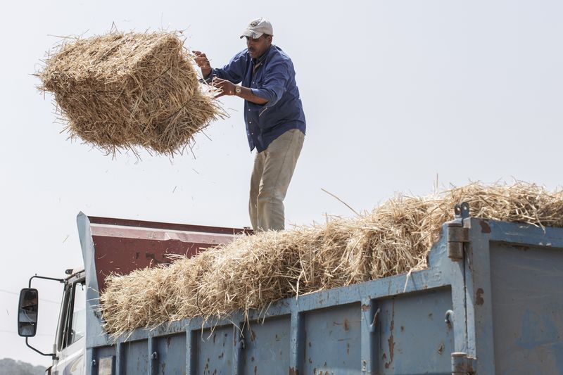 © Mehdi Maciej Benembarek - Image from the Tbourida in Morocco photography project