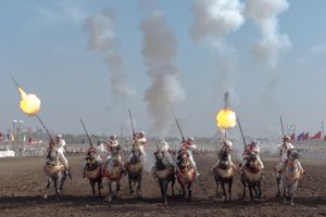Tbourida in Morocco