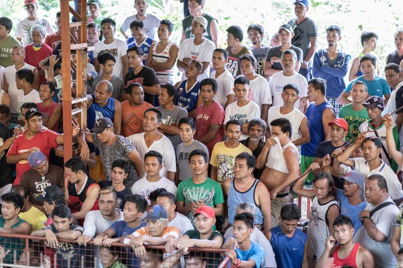 © Mehdi Maciej Benembarek - Image from the Cockfights in Philippines photography project
