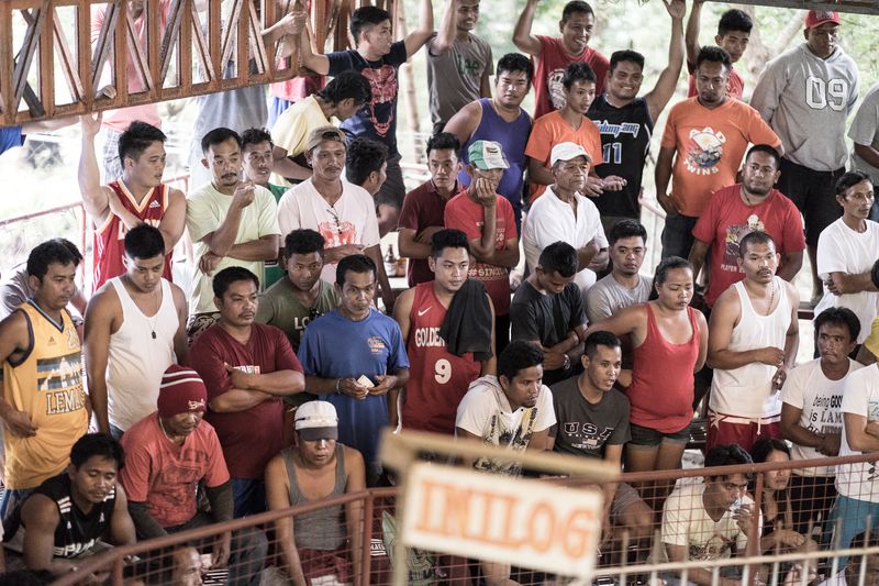 © Mehdi Maciej Benembarek - Image from the Cockfights in Philippines photography project