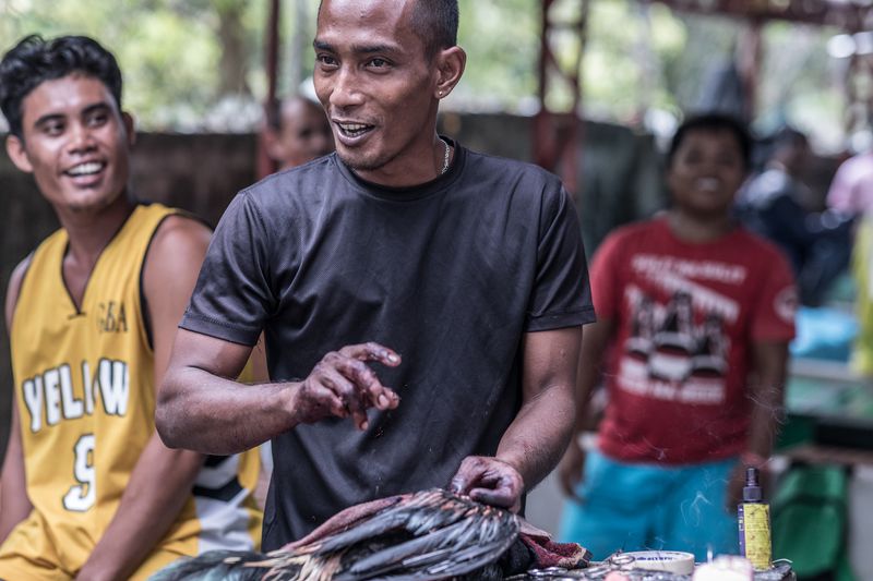 © Mehdi Maciej Benembarek - Image from the Cockfights in Philippines photography project
