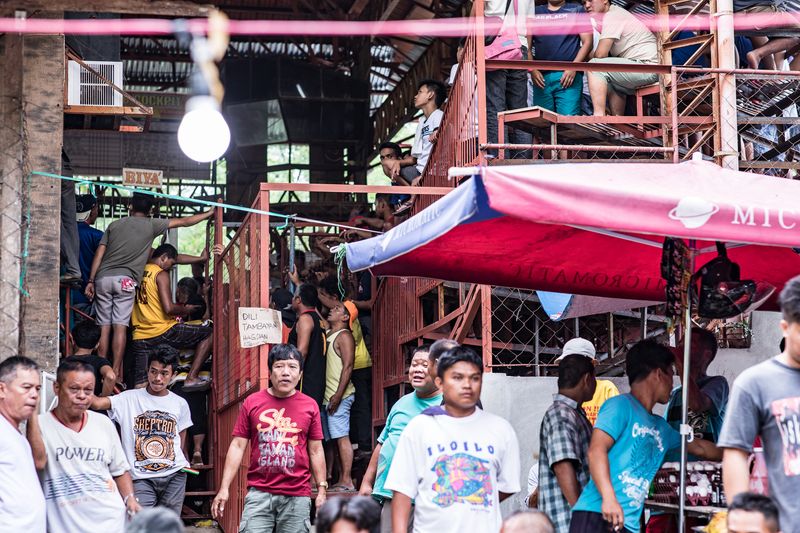 © Mehdi Maciej Benembarek - Image from the Cockfights in Philippines photography project