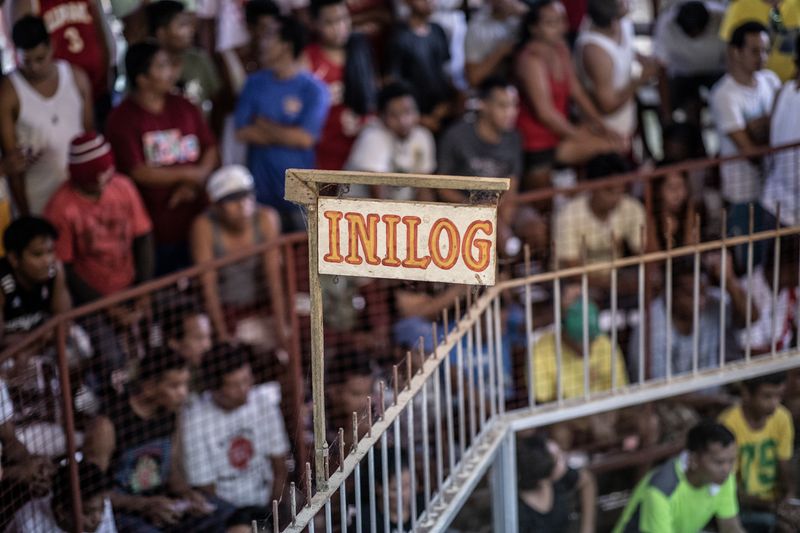 © Mehdi Maciej Benembarek - Image from the Cockfights in Philippines photography project