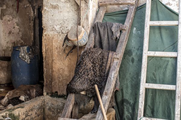 © Mehdi Maciej Benembarek - Image from the The ancient tanneries of fes, Morocco photography project