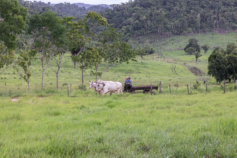 © Mehdi Maciej Benembarek - Image from the Mennonite communities in Belize photography project