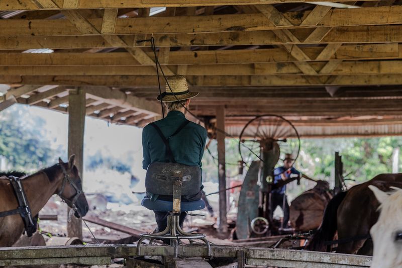 © Mehdi Maciej Benembarek - Image from the Mennonite communities in Belize photography project