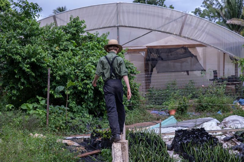 © Mehdi Maciej Benembarek - Image from the Mennonite communities in Belize photography project