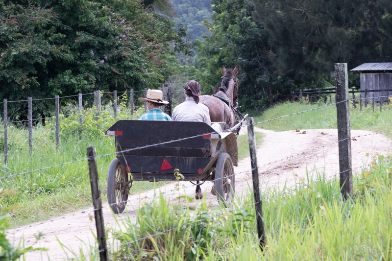 © Mehdi Maciej Benembarek - Image from the Mennonite communities in Belize photography project