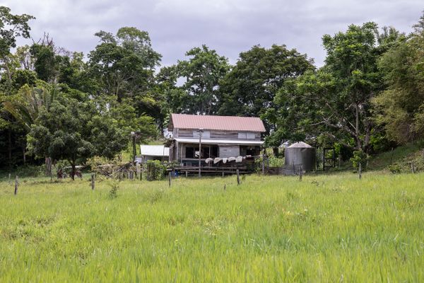 © Mehdi Maciej Benembarek - Image from the Mennonite communities in Belize photography project