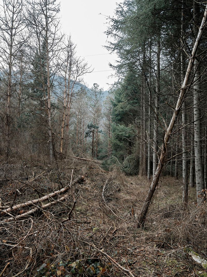 © michele vittori - Image from the Telepath photography project