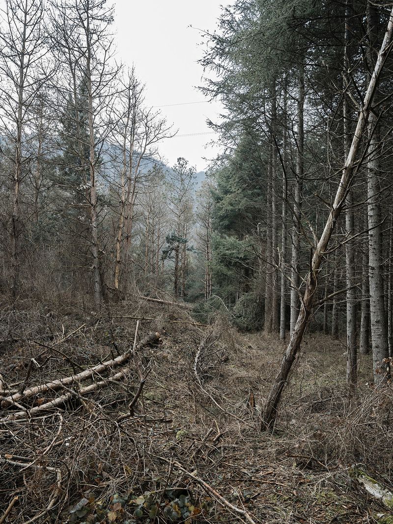 © michele vittori - Image from the Telepath photography project