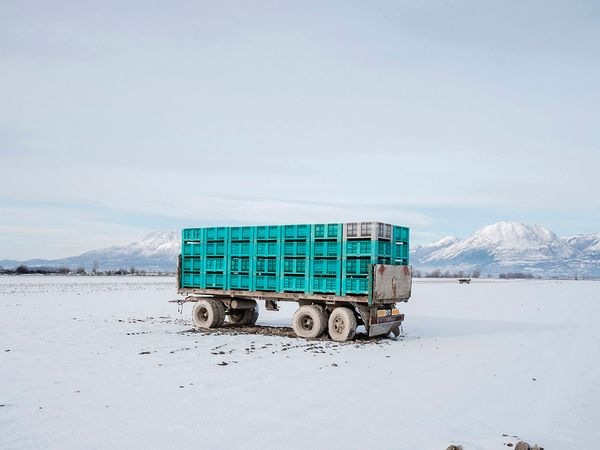 © michele vittori - Image from the Telepath photography project