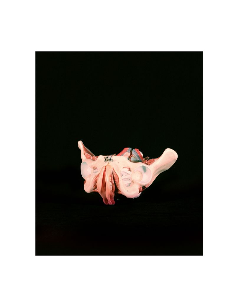 © Amelie Sachs - Image from the The Thief of Womanhood photography project