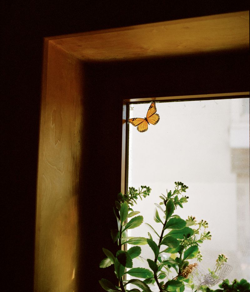 © Amelie Sachs - Image from the The Thief of Womanhood photography project