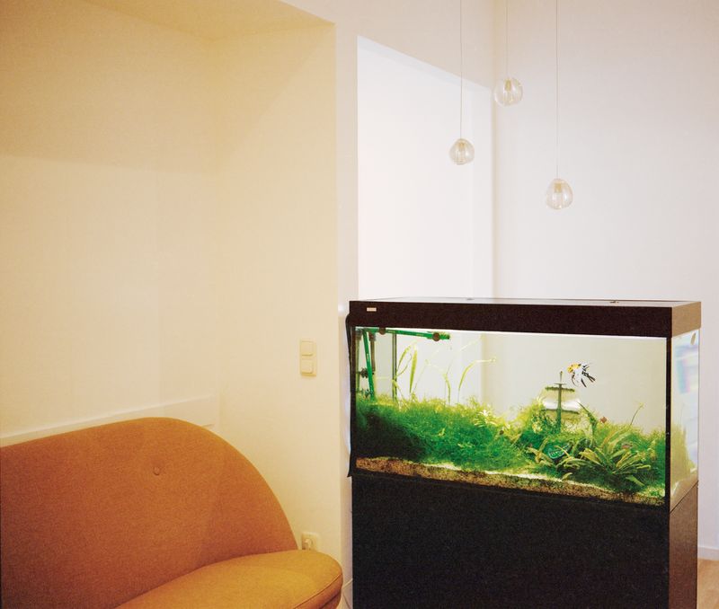 © Amelie Sachs - Image from the Forget Me Not photography project