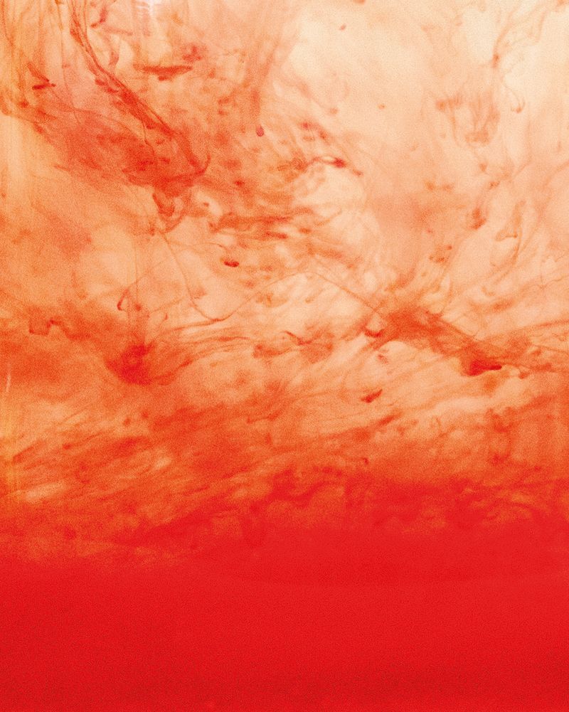 © Amelie Sachs - Image from the Forget Me Not photography project