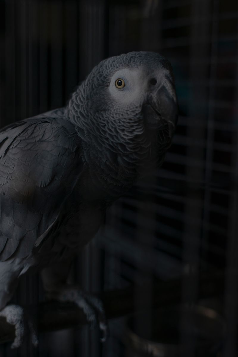 © Segolene Ragu - Image from the Chronicles of the Ongoing photography project