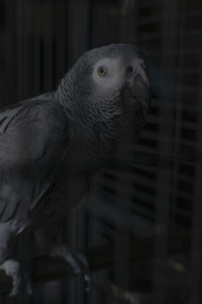 © Segolene Ragu - Image from the Chronicles of the Ongoing photography project