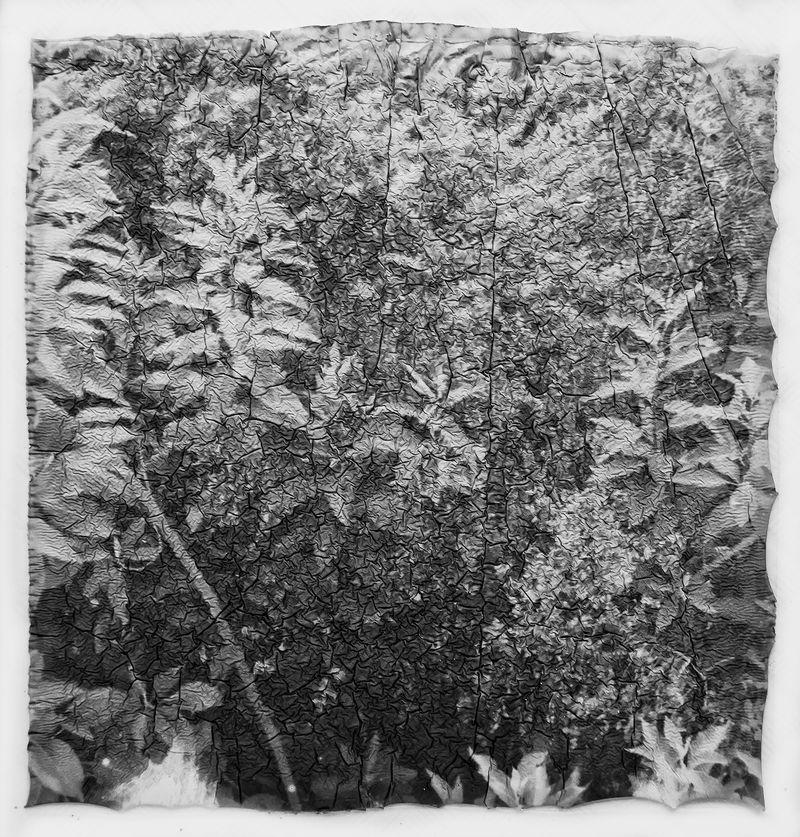 © Janhavi Sharma - Image from the My Molten Sky photography project