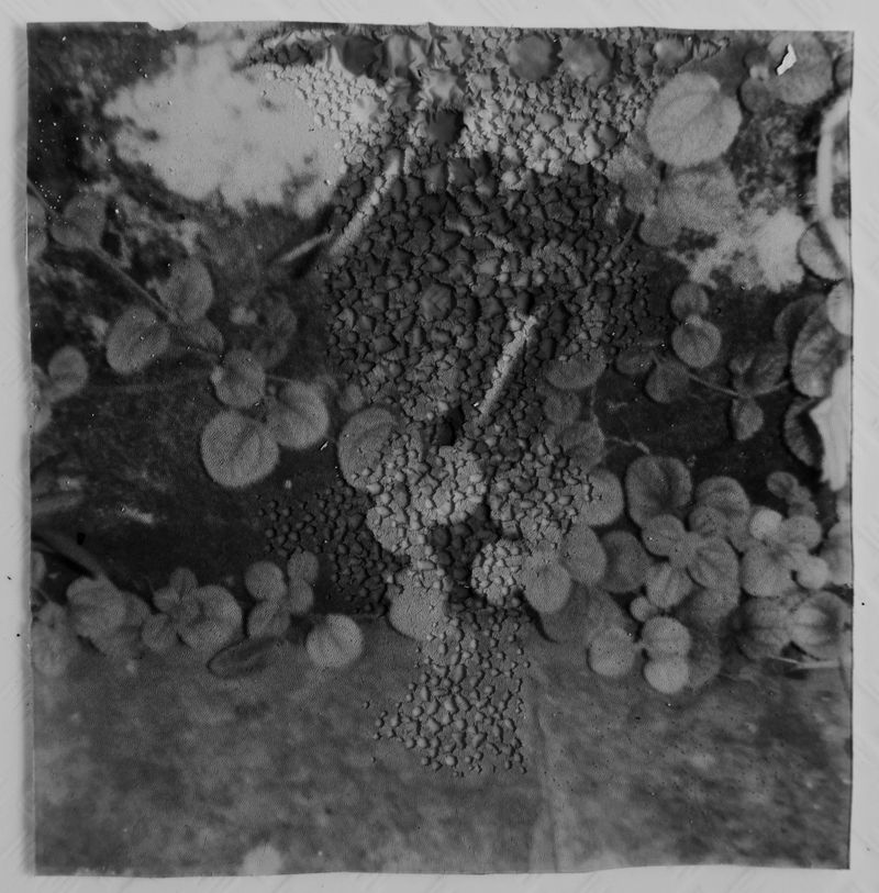 © Janhavi Sharma - Image from the My Molten Sky photography project