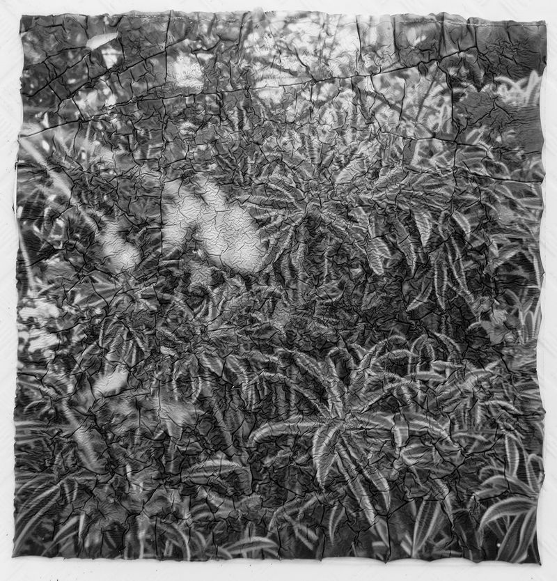 © Janhavi Sharma - Image from the My Molten Sky photography project