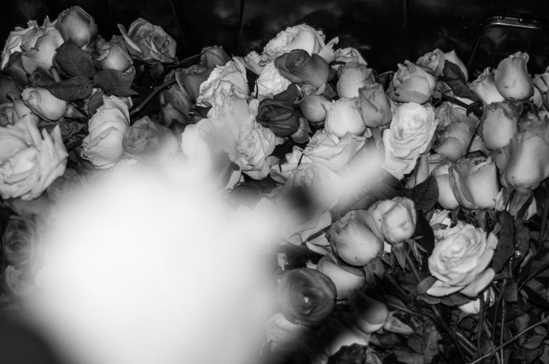 © Luiza Kons - Image from the When we close our eyes and ask: what is love? photography project