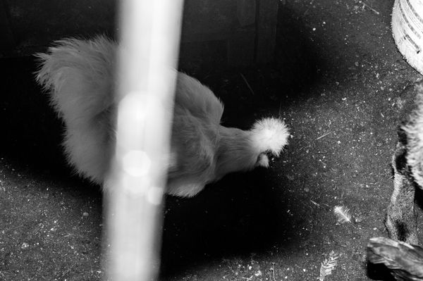 © Luiza Kons - Image from the When we close our eyes and ask: what is love? photography project