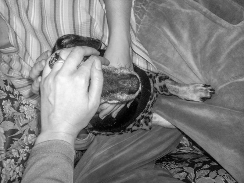 © Luiza Kons - Image from the When we close our eyes and ask: what is love? photography project