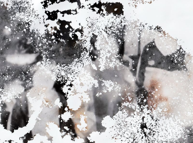 © Fanni Luzsicza - Image from the What Remains Beneath the Surface photography project